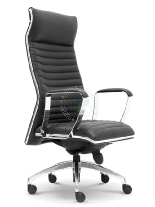 Director Chair