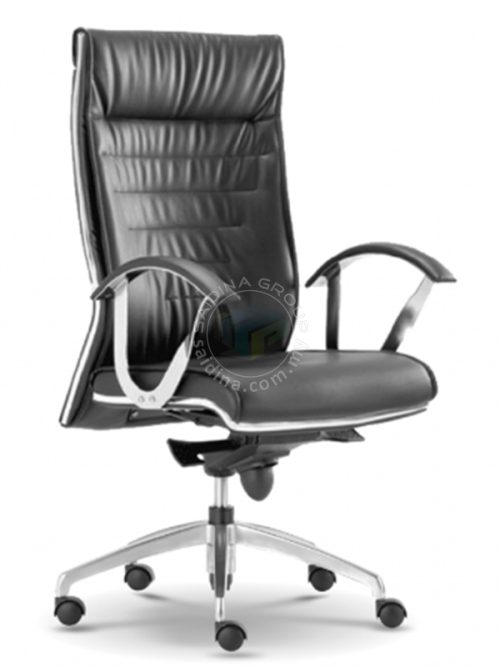 Director Chair