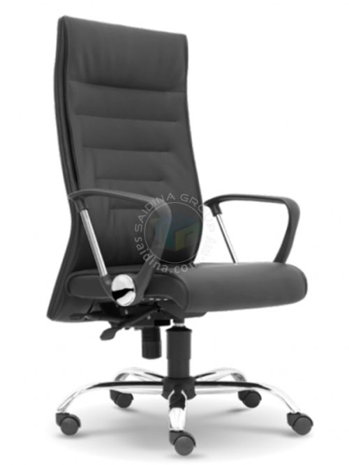 Director Chair