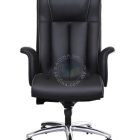 highback director chair